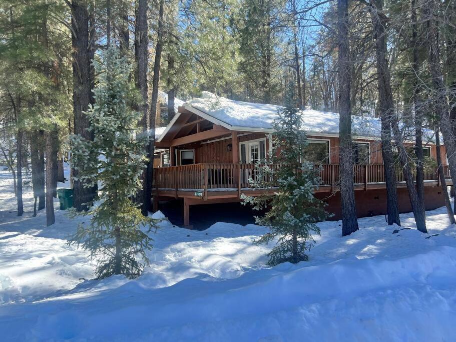 The Bluejay Cabin At Munds Park, Az! Sedona Luaran gambar